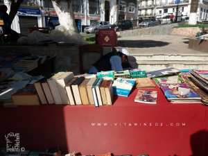 Les bouquinistes saisonniers d'Alger : L'ivre passion à ciel ouvert !
