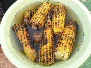 Epis de Maïs grillés marinés à l'eau salée