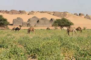 الجزائر جنة فوق الأرض