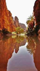 Tassili n'Ajjer, une saison bien entamée....!