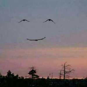 la journée mondiale du sourire