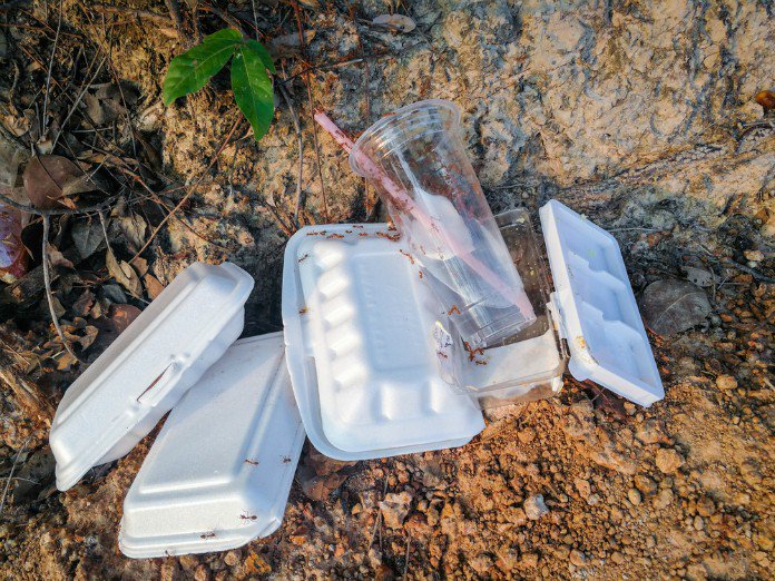 LA DURÉE DE VIE DES DÉCHETS DANS LA NATURE: Objets en polystyrène : 80 ans