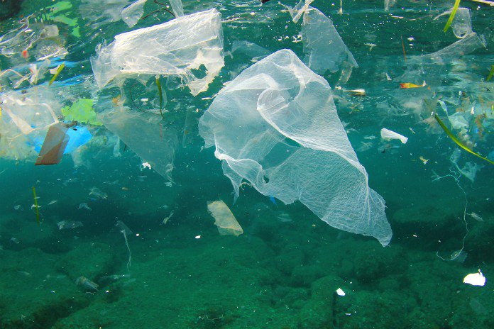 LA DURÉE DE VIE DES DÉCHETS DANS LA NATURE: Sac plastique : jusqu’à 450 ans