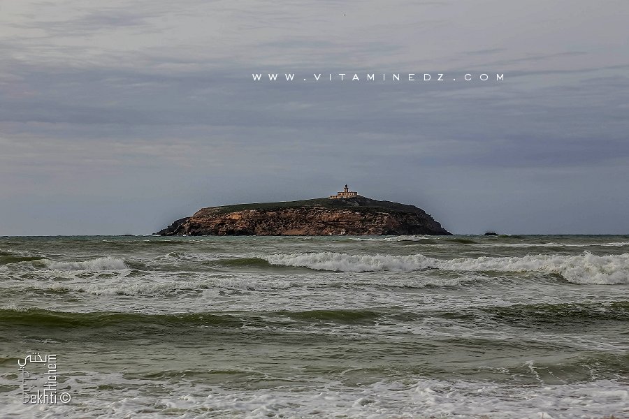Ile de Rachgoun ou Layella, toujours belle et fière comme une gardienne de la mer