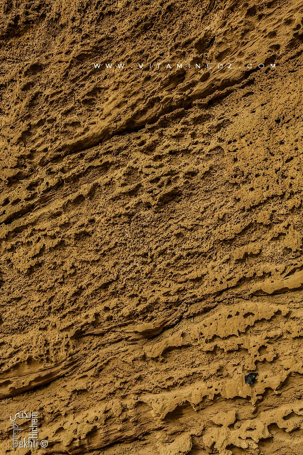 Paroi typique de la plage de Rachgoun