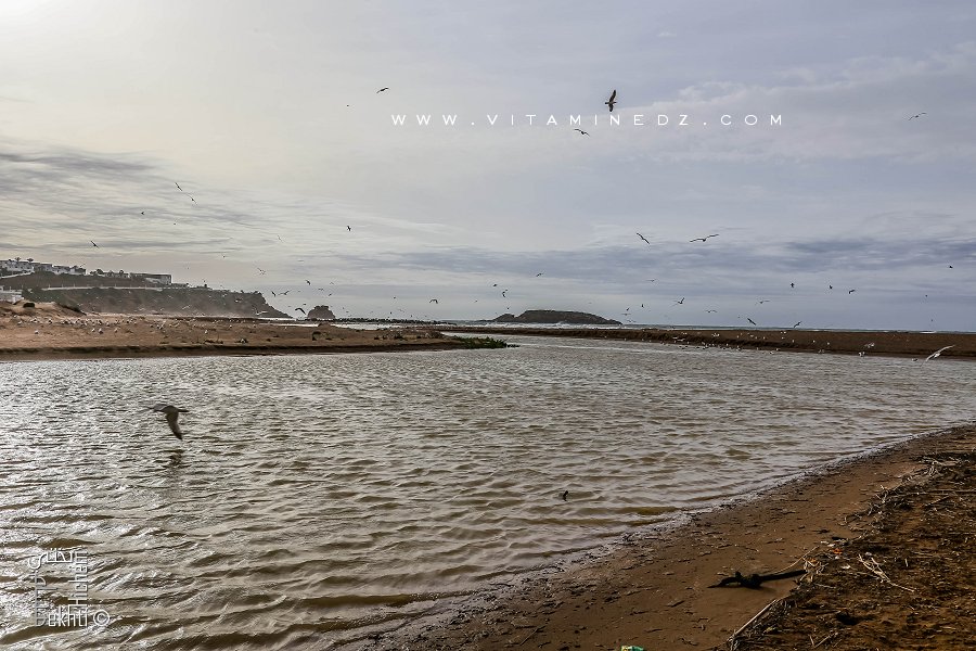 Embouchure de Oued La Tafna à Rachgoun