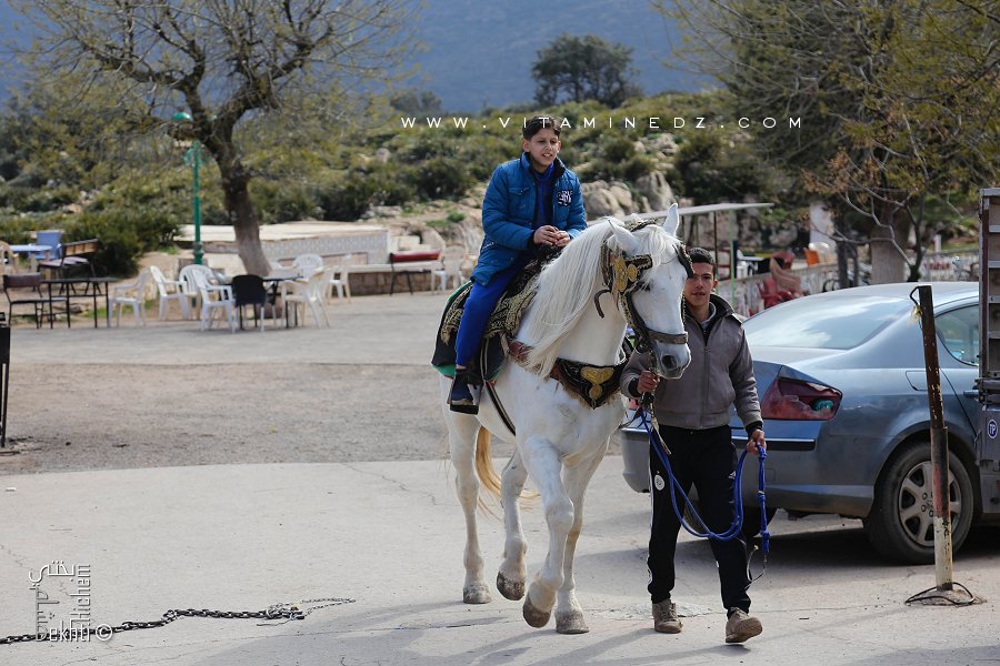 A l'entrée des grottes des Beni Add : Divers moyens de distraction (Ballades à cheval, Quadd ...)