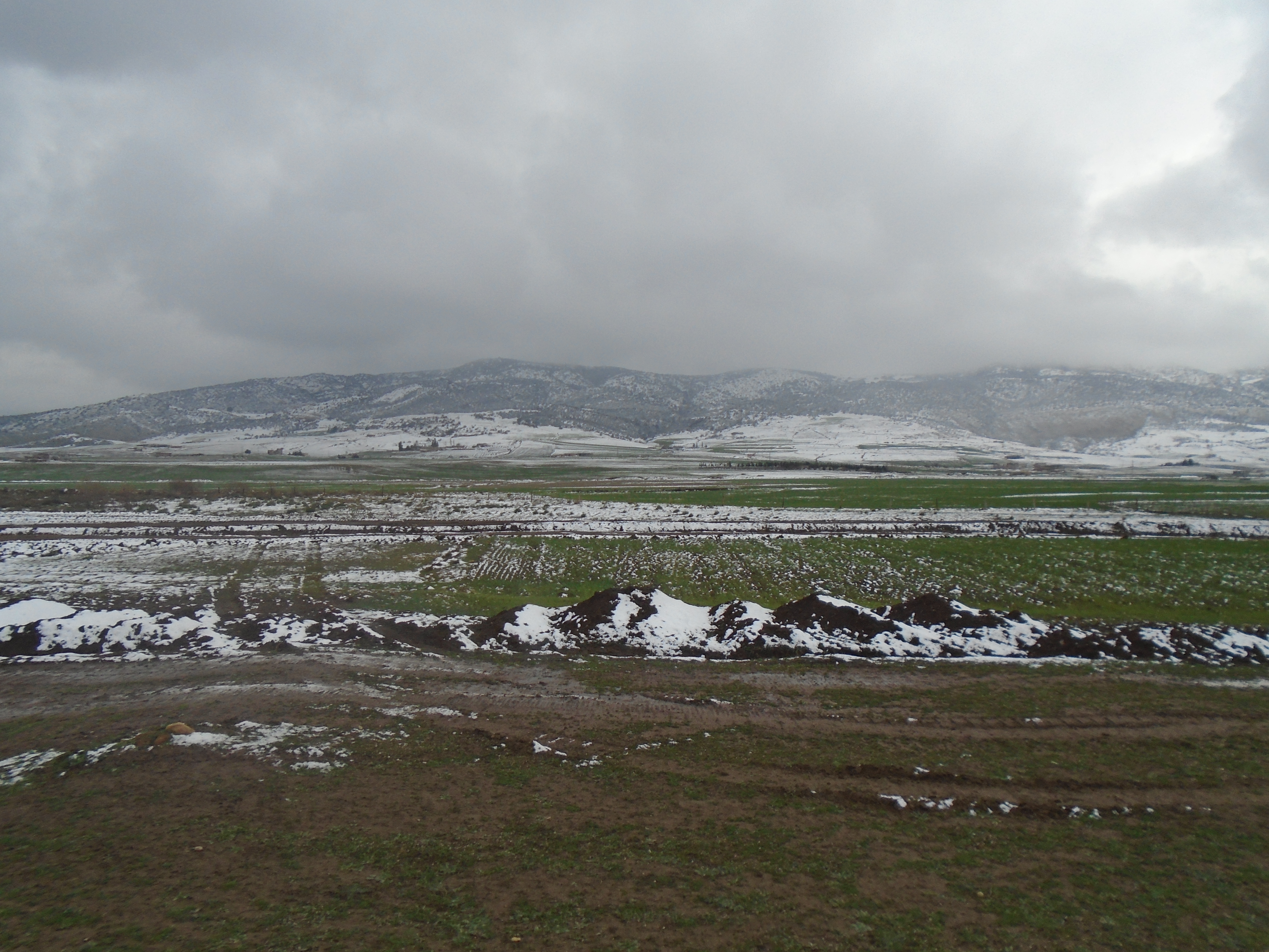 Kraza cne de Yabous.