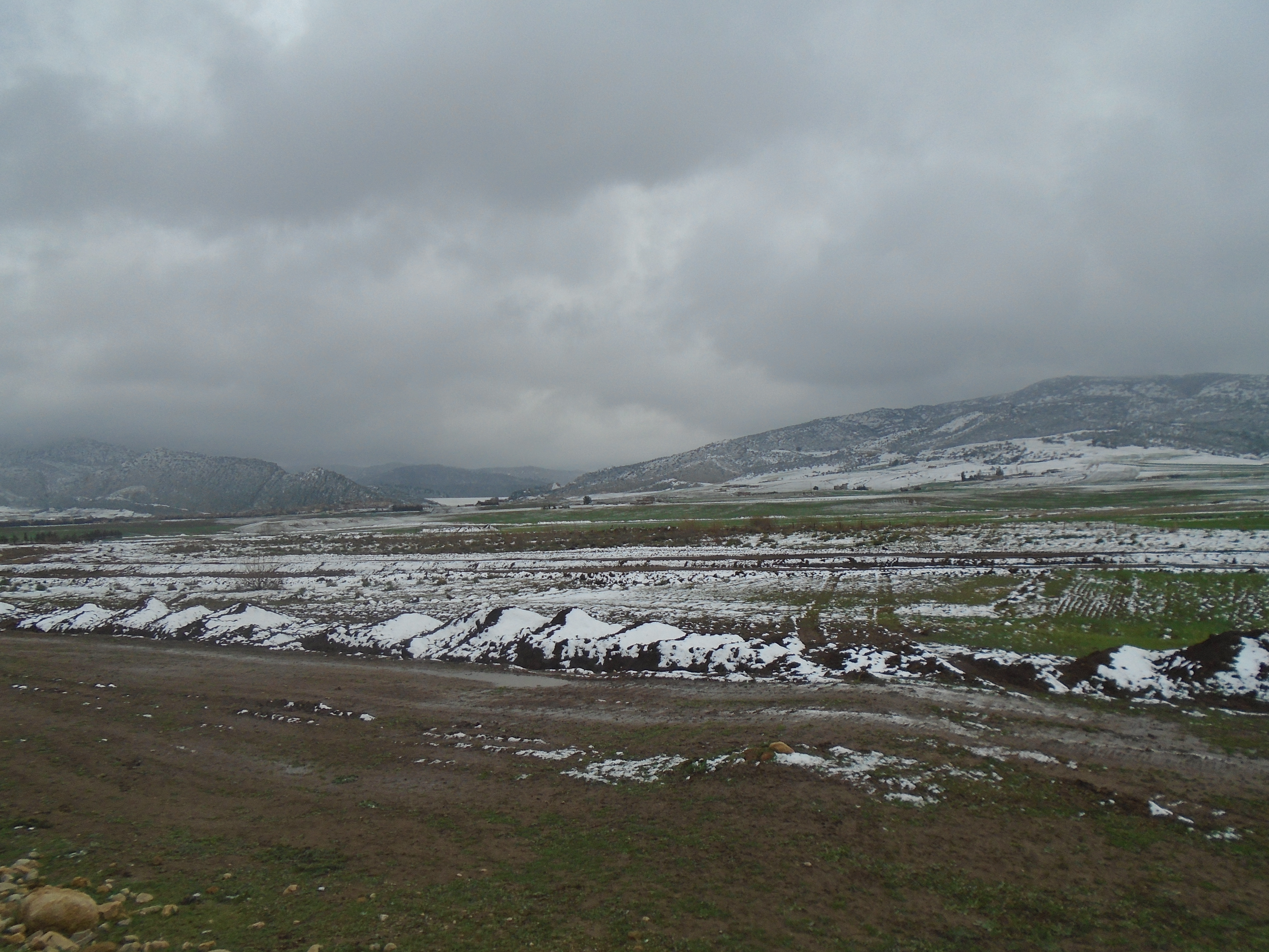 Kraza cne de Yabous.