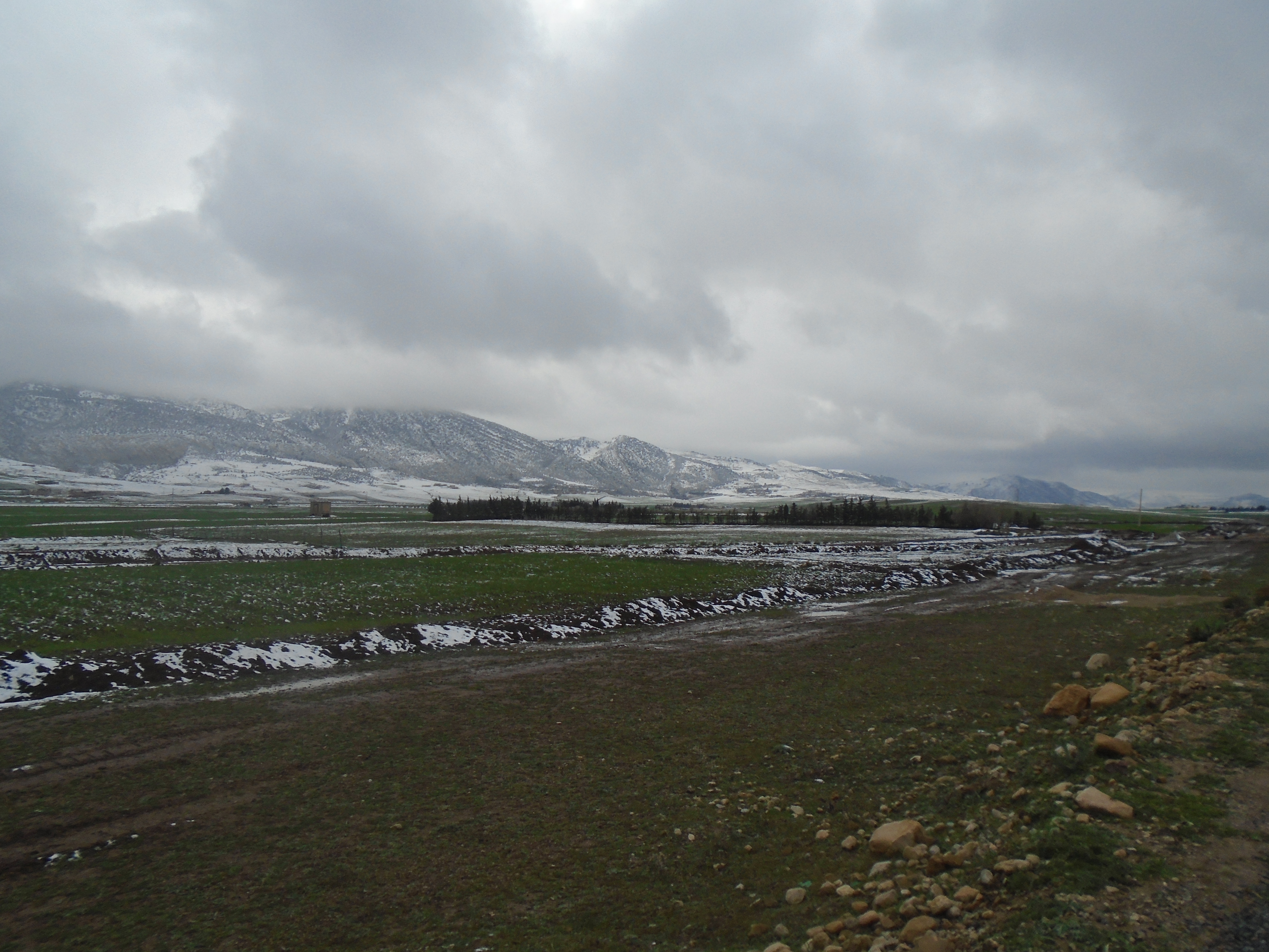 Kraza cne de Yabous.