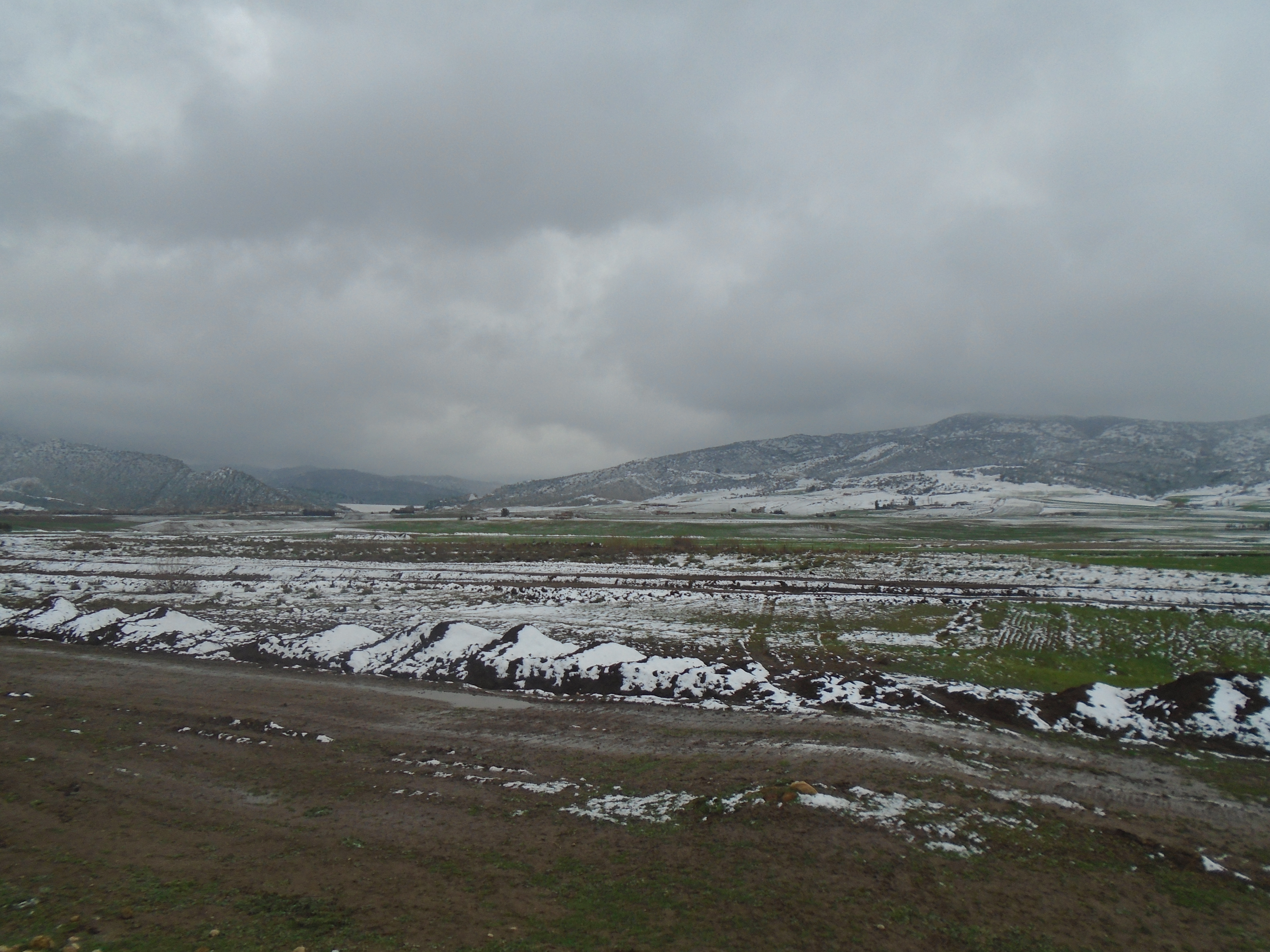 Kraza cne de Yabous.