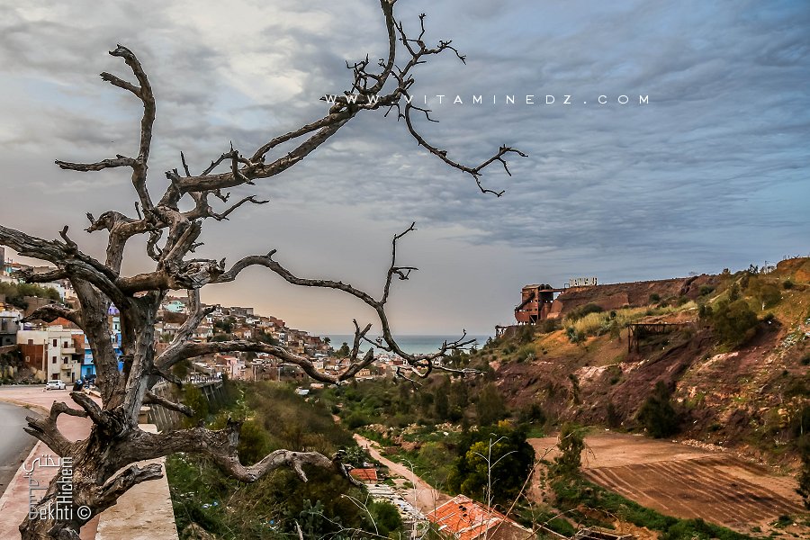 SAGLA-BOUKOUDAN-HAI NAHDA TROIS NOMS POUR UN QUARTIER PAUVRE: ‘'Le temps et l'usage rendent l'homme sage'' Proverbe