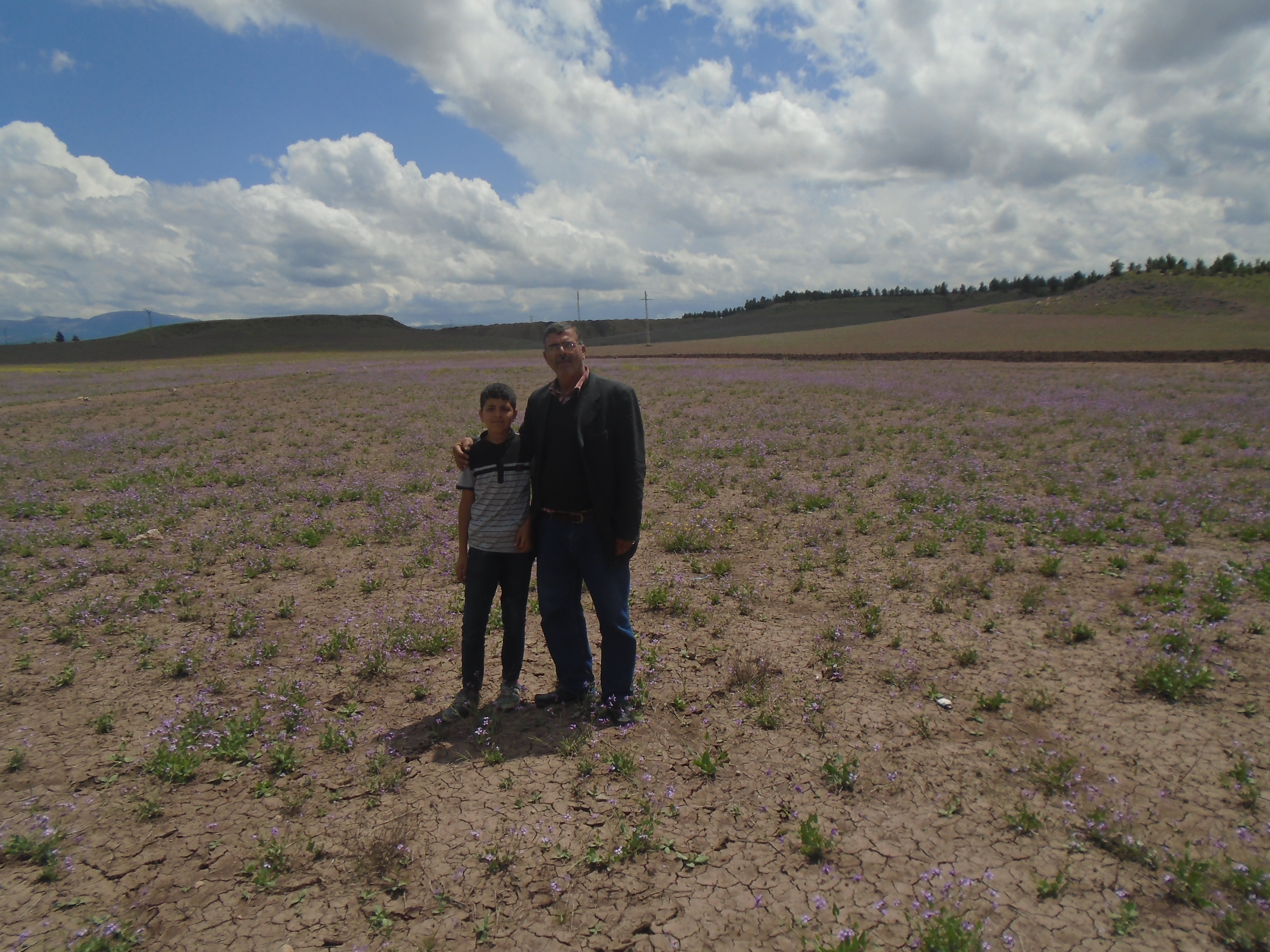 Yabous  est bien connu pour la beauté de ses fleurs. Au printemps.