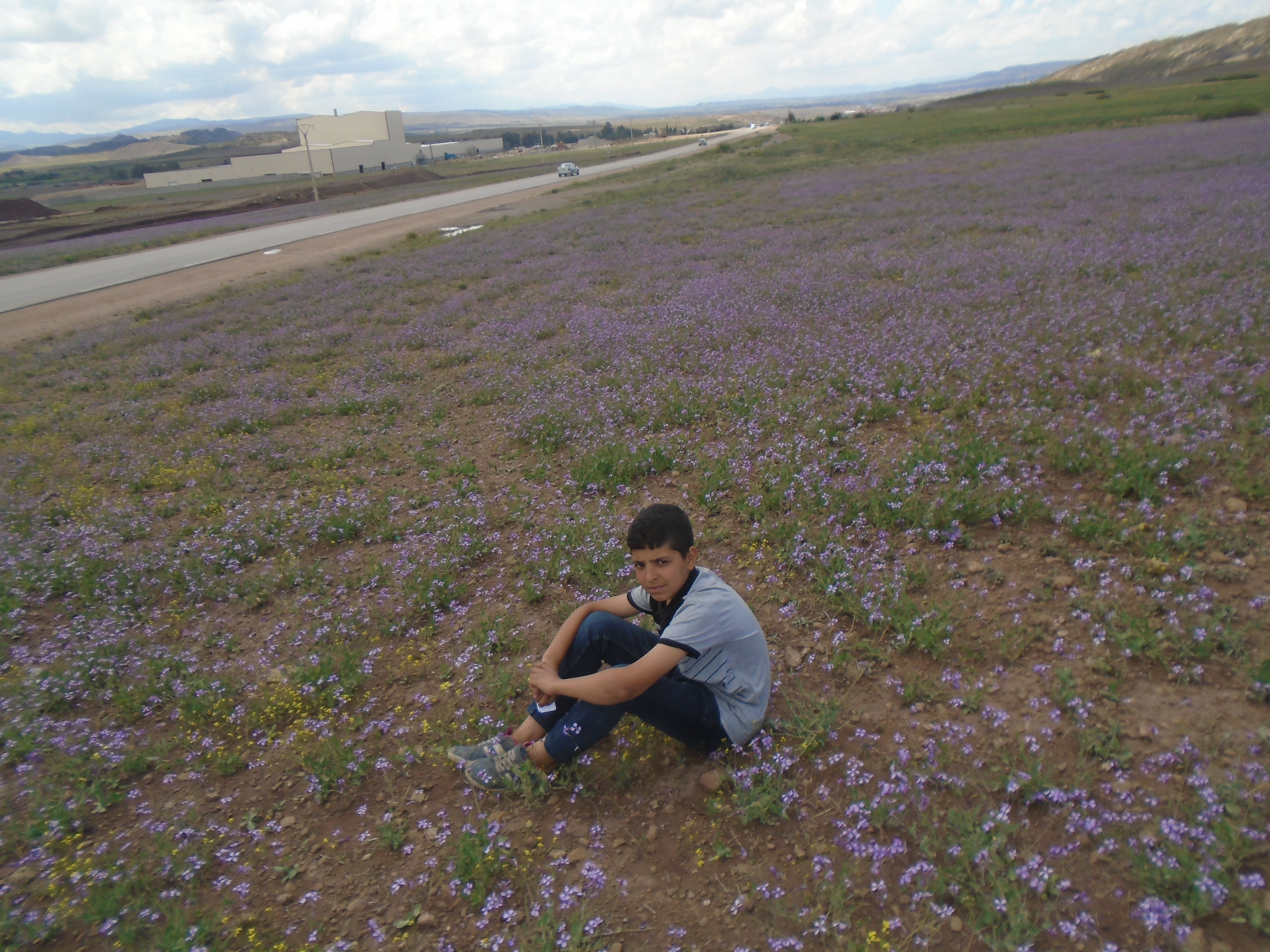 Yabous  est bien connu pour la beauté de ses fleurs. Au printemps.