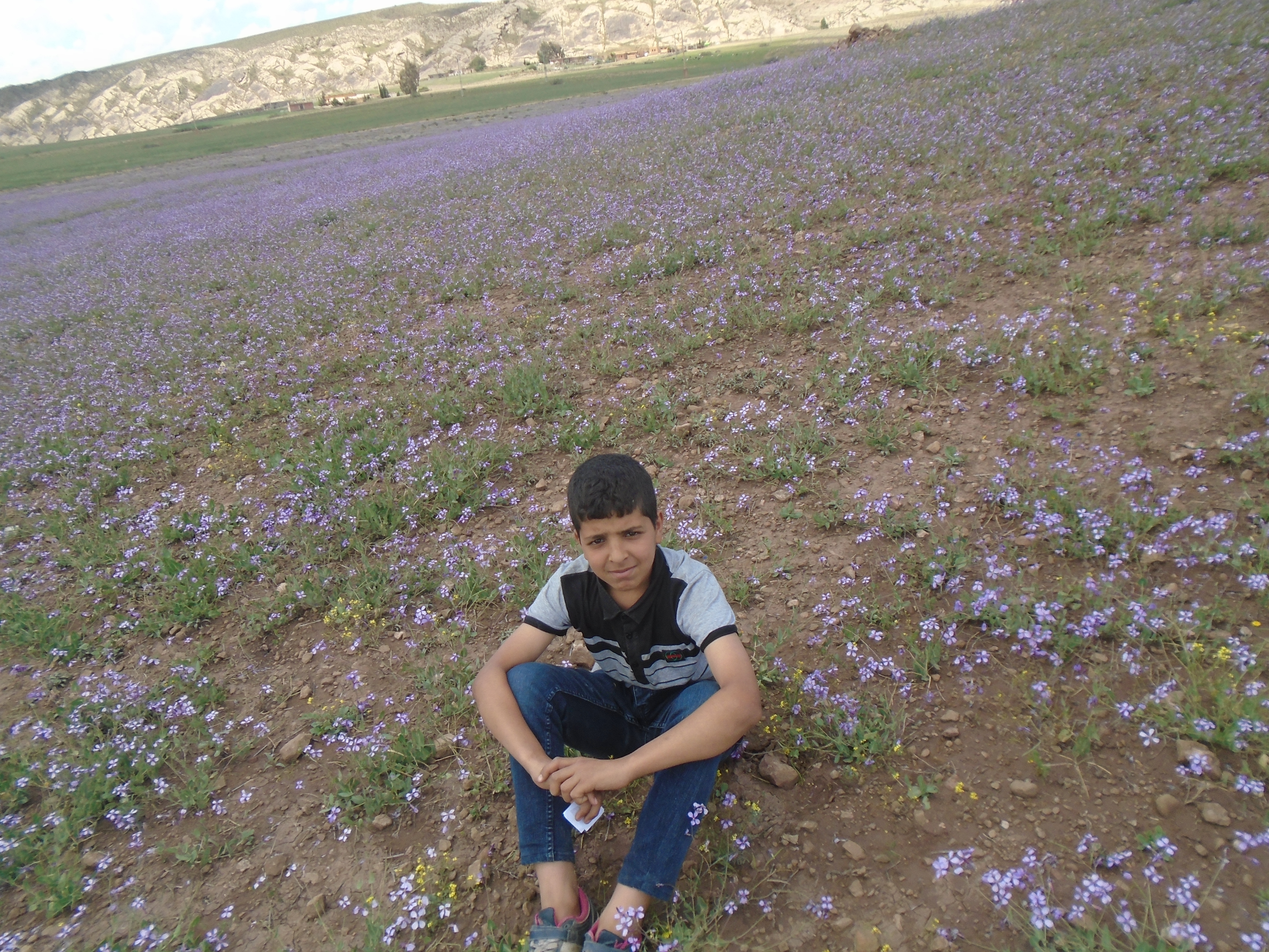 Le printemps est là et rapporte avec lui les plus belles fleurs