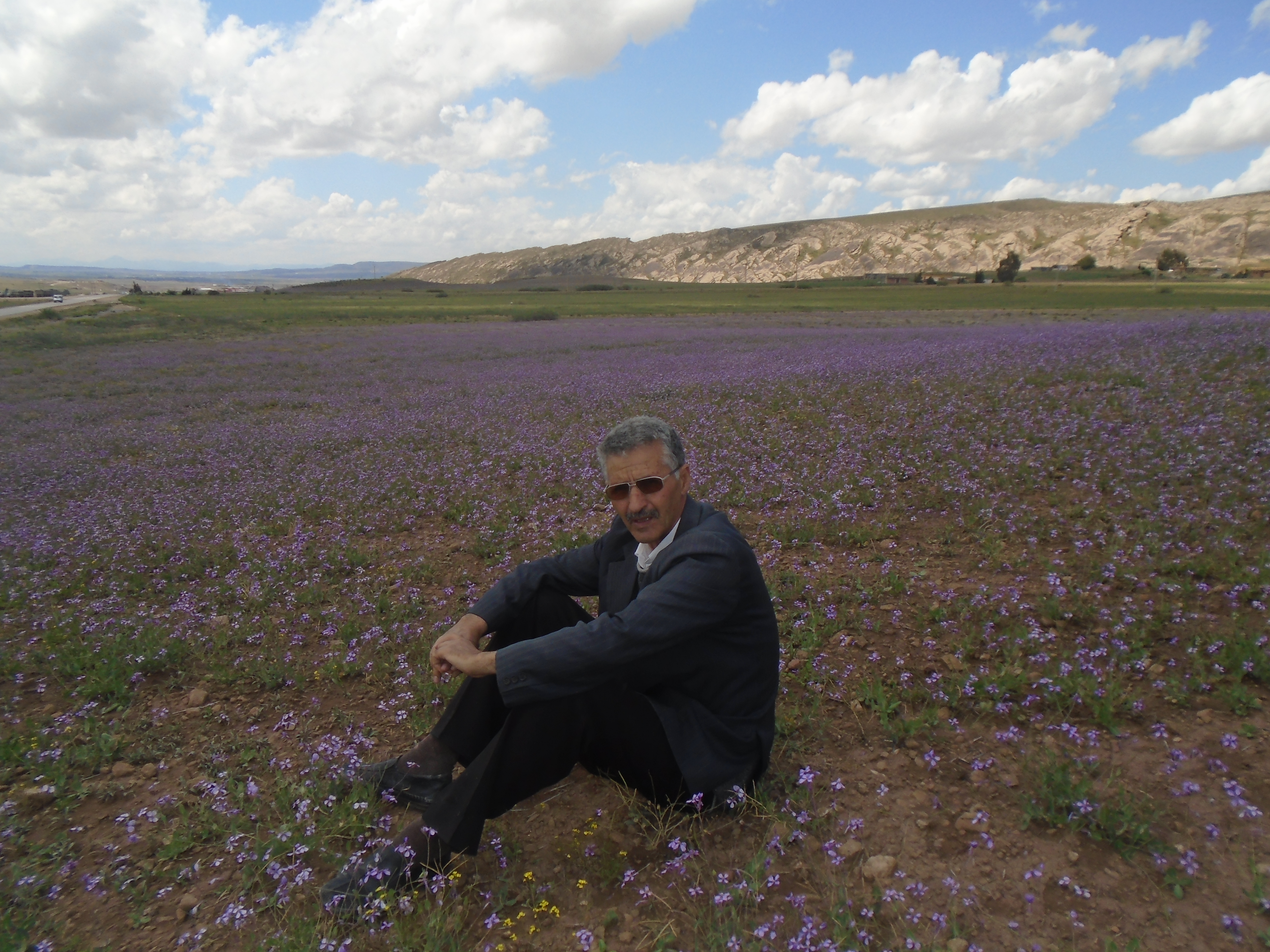 Le printemps est là (à Yabous ) et rapporte avec lui les plus belles fleurs