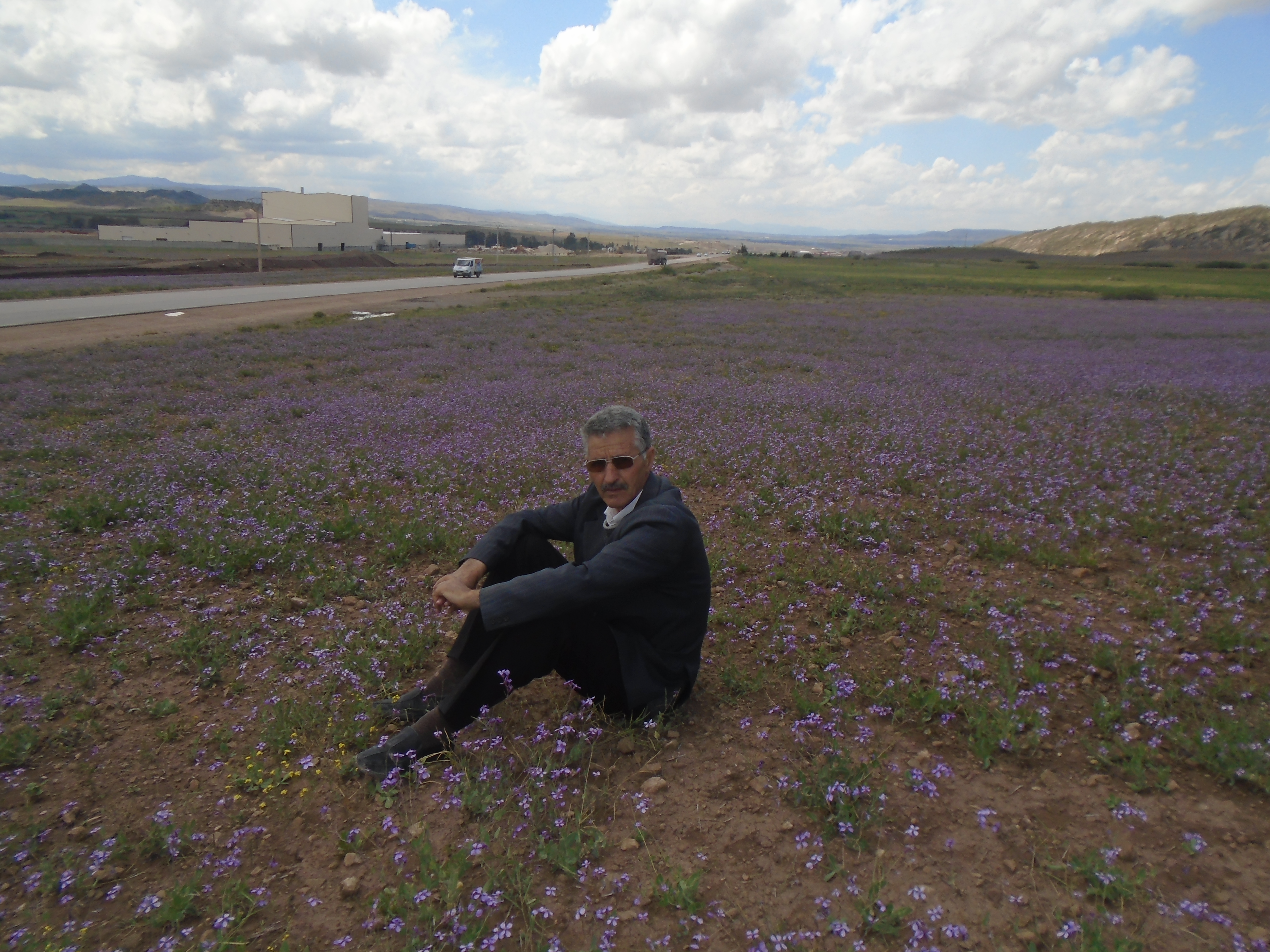 Le printemps est là (à Yabous ) et rapporte avec lui les plus belles fleurs