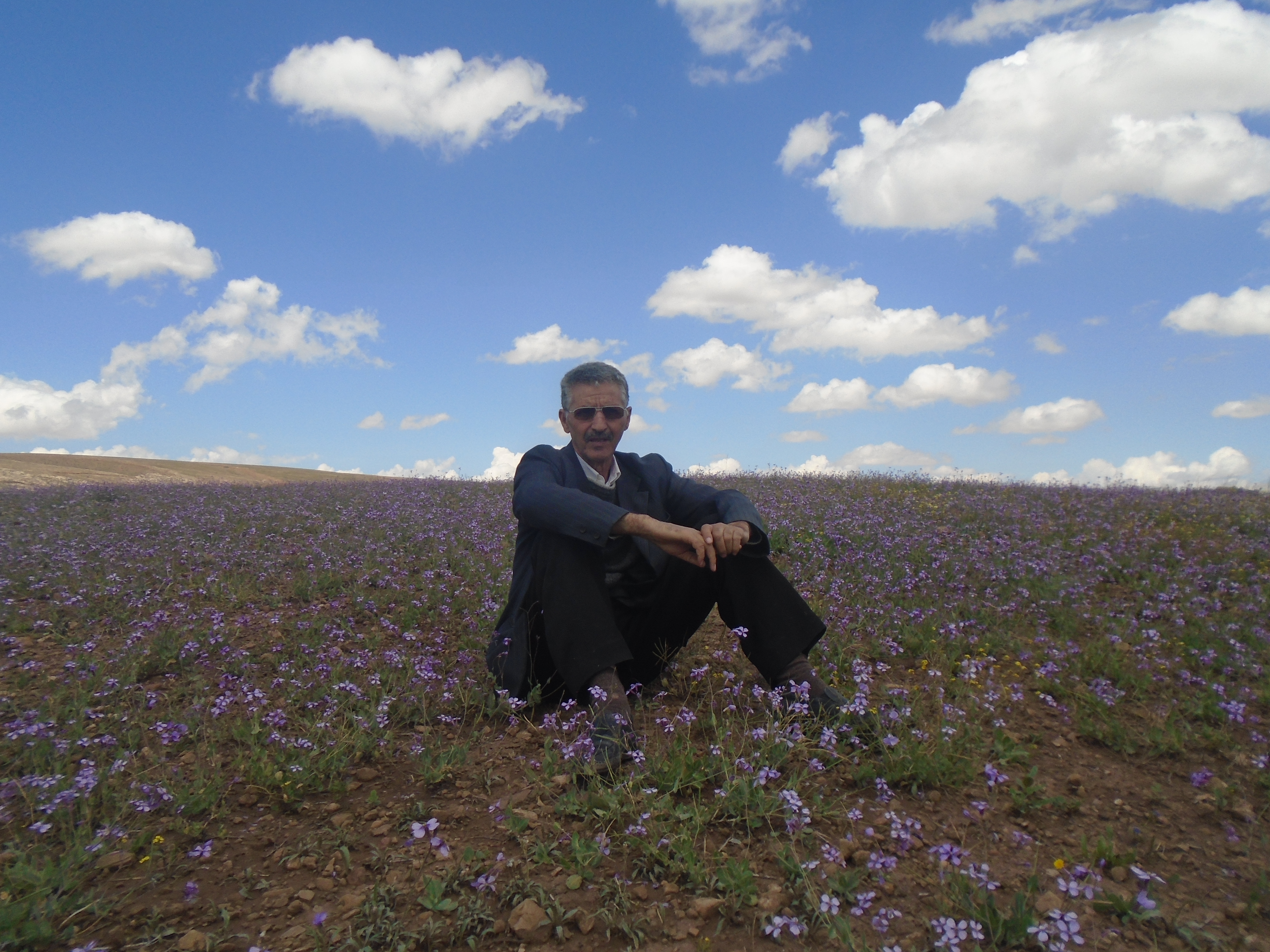 Le printemps est là (à Yabous ) et rapporte avec lui les plus belles fleurs