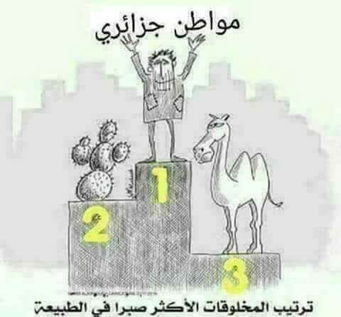 الموان الجزائري أكثر المخلوقات في الطبيعة