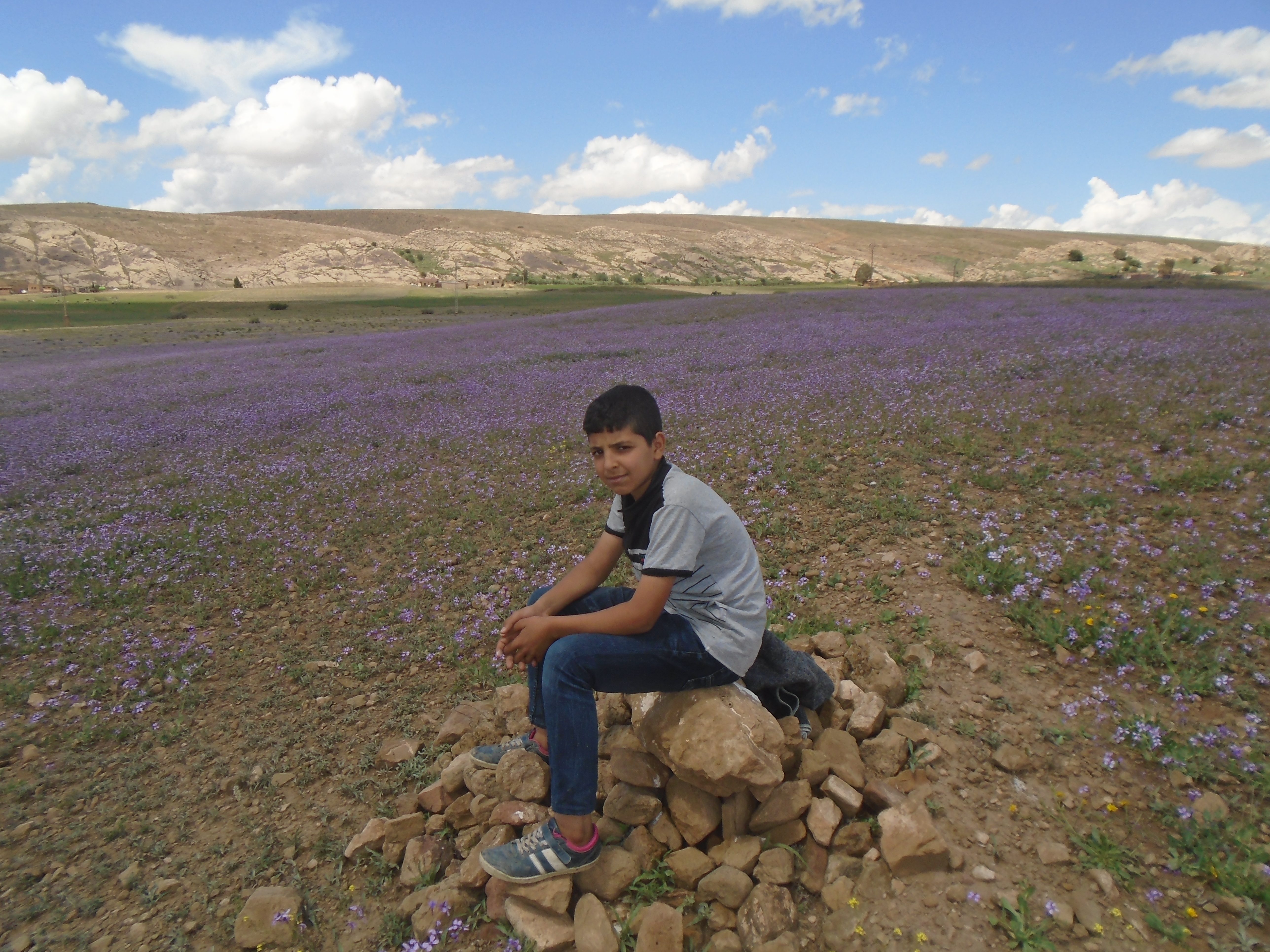 Les fleurs pour accueillir le printemps