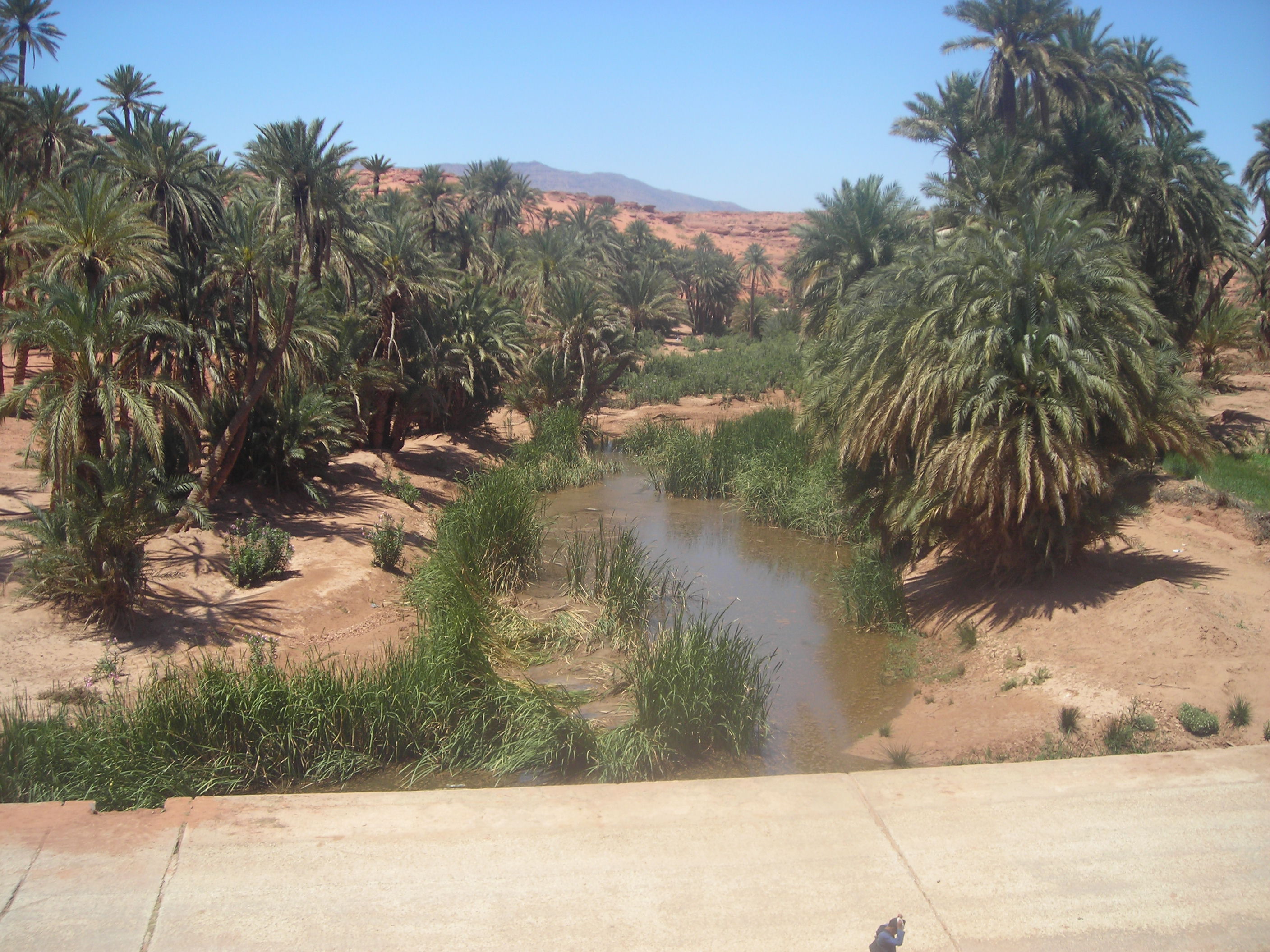 واد تيوت ينتعش من جديد