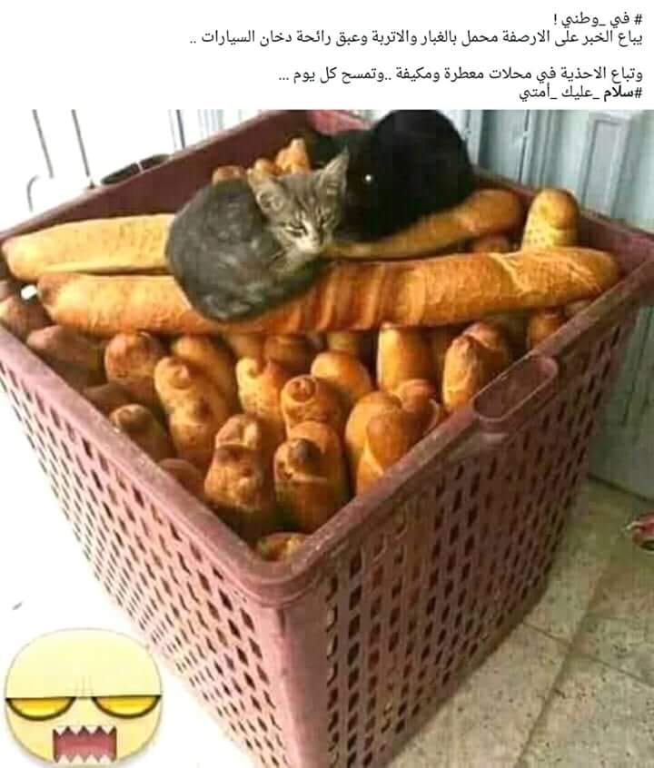 إستجابة وآآسعة لحملة بلاستي وين نحبإ