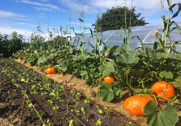 Le paradis sur Terre À Theux, à 30 minutes de Liège en Belgique