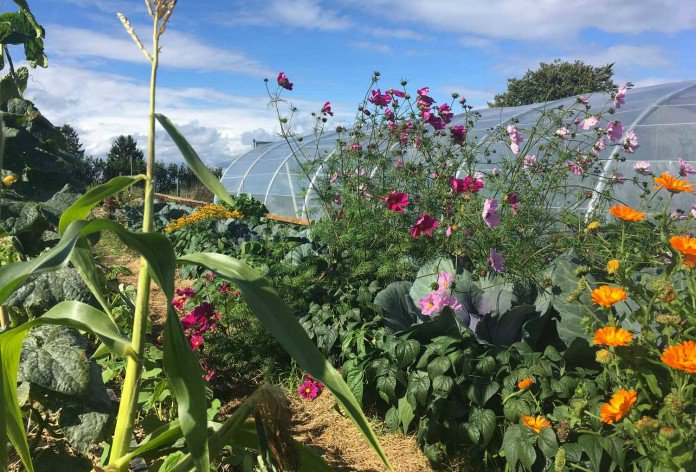 Le paradis sur Terre À Theux, à 30 minutes de Liège en Belgique