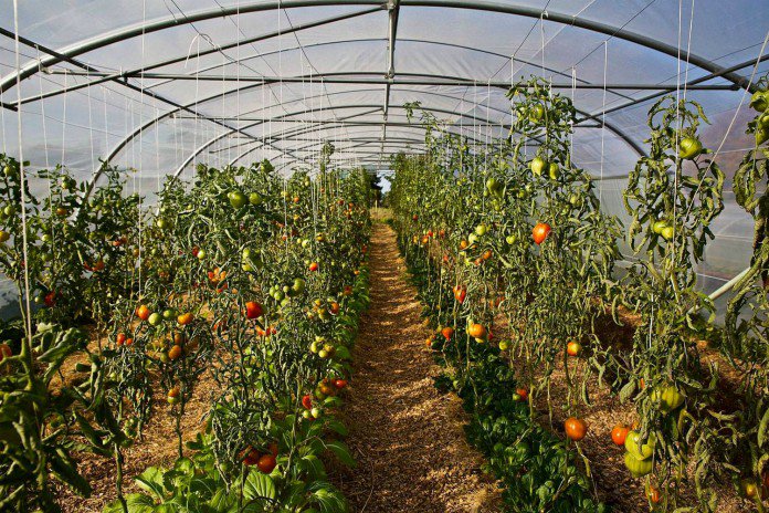 Le paradis sur Terre À Theux, à 30 minutes de Liège en Belgique