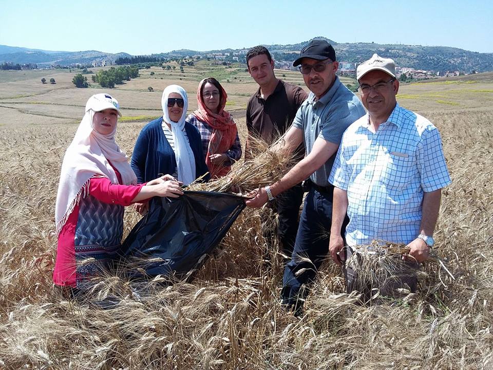 Enquête rendement céréales, campagne 2017-2018 (phase prélèvement des échantillons de blé dur et d’orge)