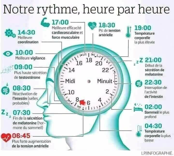 Notre rythme ,heure par heure .