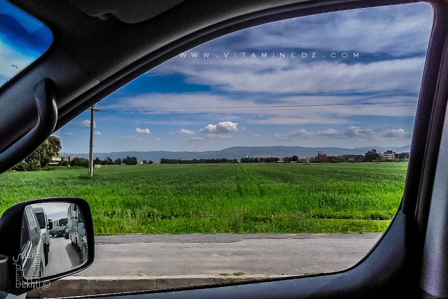 Que reste t-il de vert dans l'algerois, terres agricoles en voie de disparition (Alger - Bab Ezzouar)