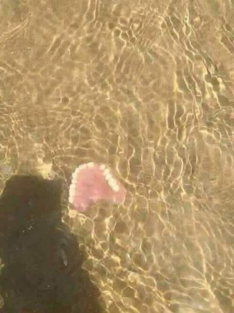 Les plages d'Algérie