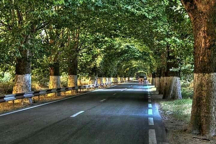 Le Tunnel vert : Route Béjaia - El Kseur