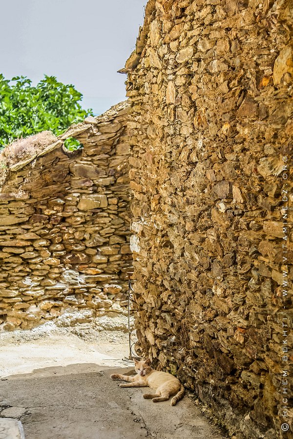 Ruelles propres et calmes de Tiferdoud (Kabylie)