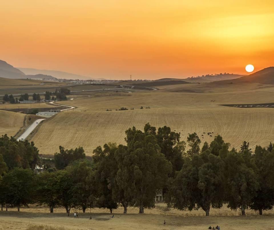 Les Plaines de la Région de Constantine... !