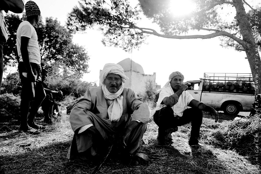 Sidi Daho et ses visiteurs à la Waada d'El Ghenaina (Commune d'Amieur - Tlemcen)