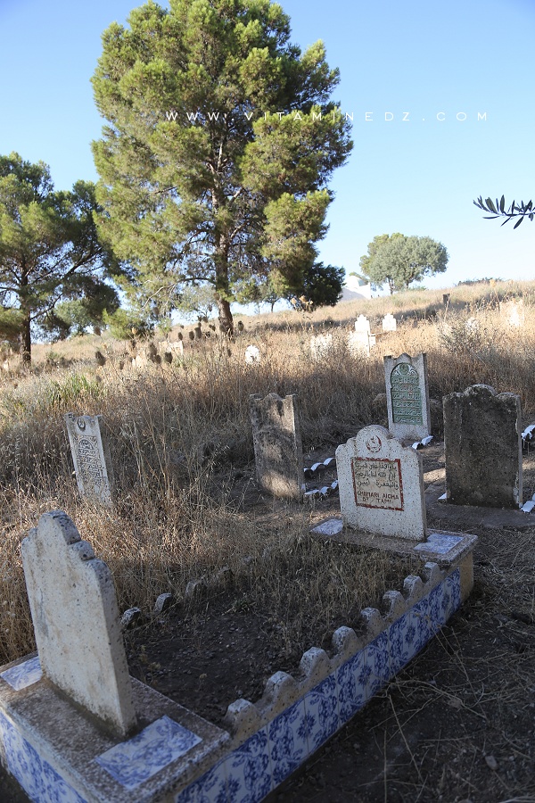 Cimetière d'El Ghnaina (Commune Amiyer - Tlemcen)