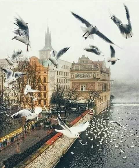 الم نشرح لك صدرك