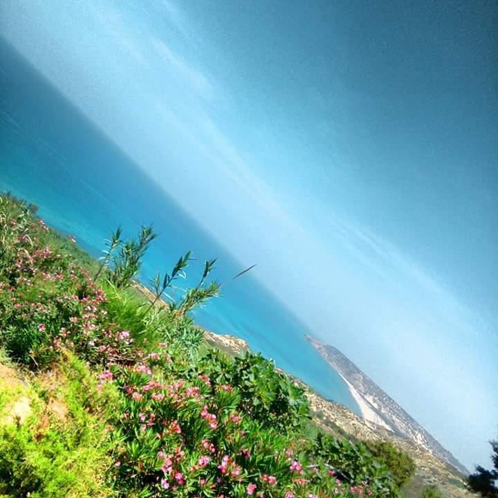 من ولاية مستغانم.