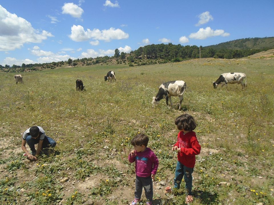 فصل الربيع .....وجمال الطبيعة بيابوس