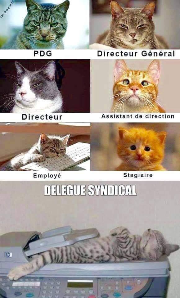 Très mignon et sans doute quelques ressemblances