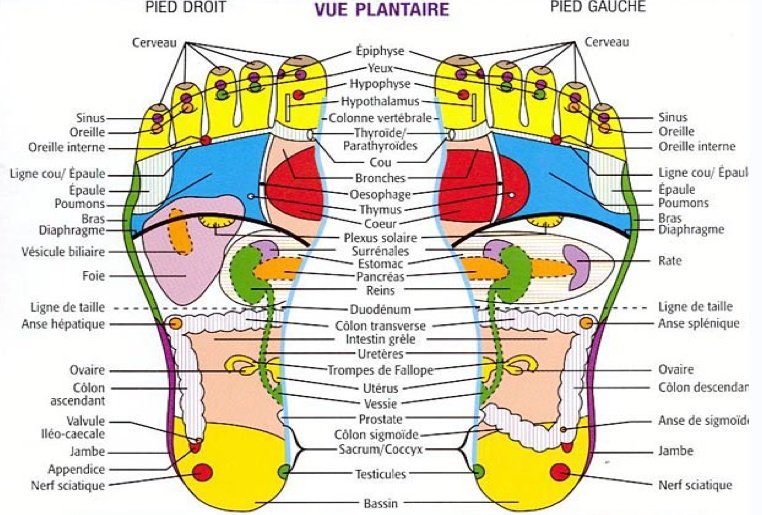 Réflexologie: Ces points d’acupression du pied soulagent miraculeusement la douleur