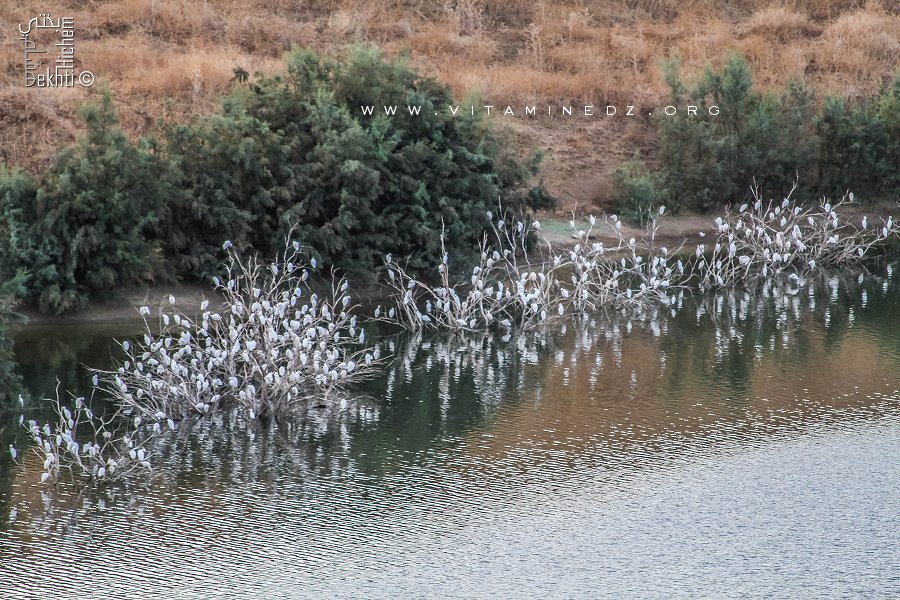 Retenue d'eau dans la région de Aribat