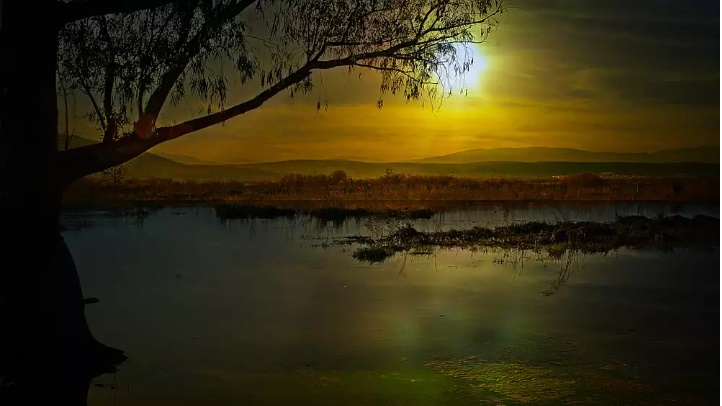 Lac des Oiseaux, Tarf... !