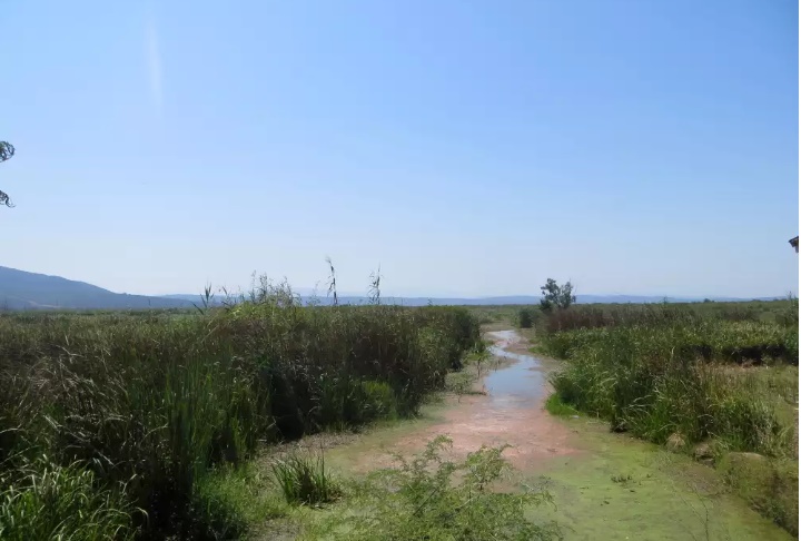 Lac des Oiseaux, Tarf... !