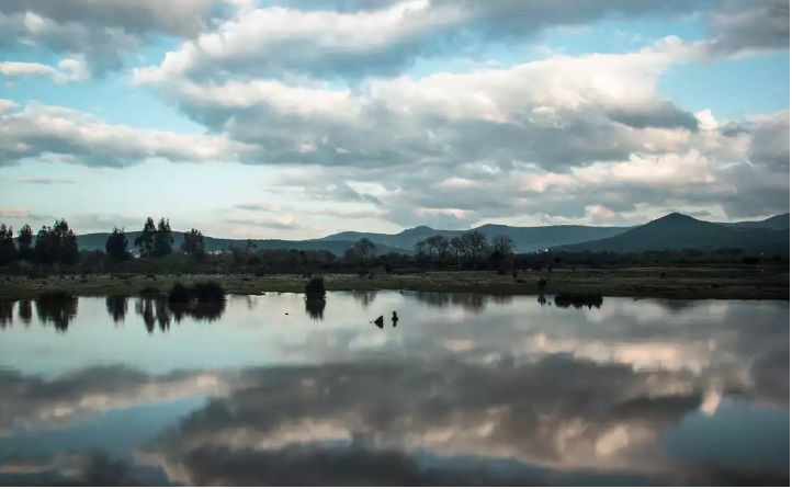 Lac des Oiseaux, Tarf... !