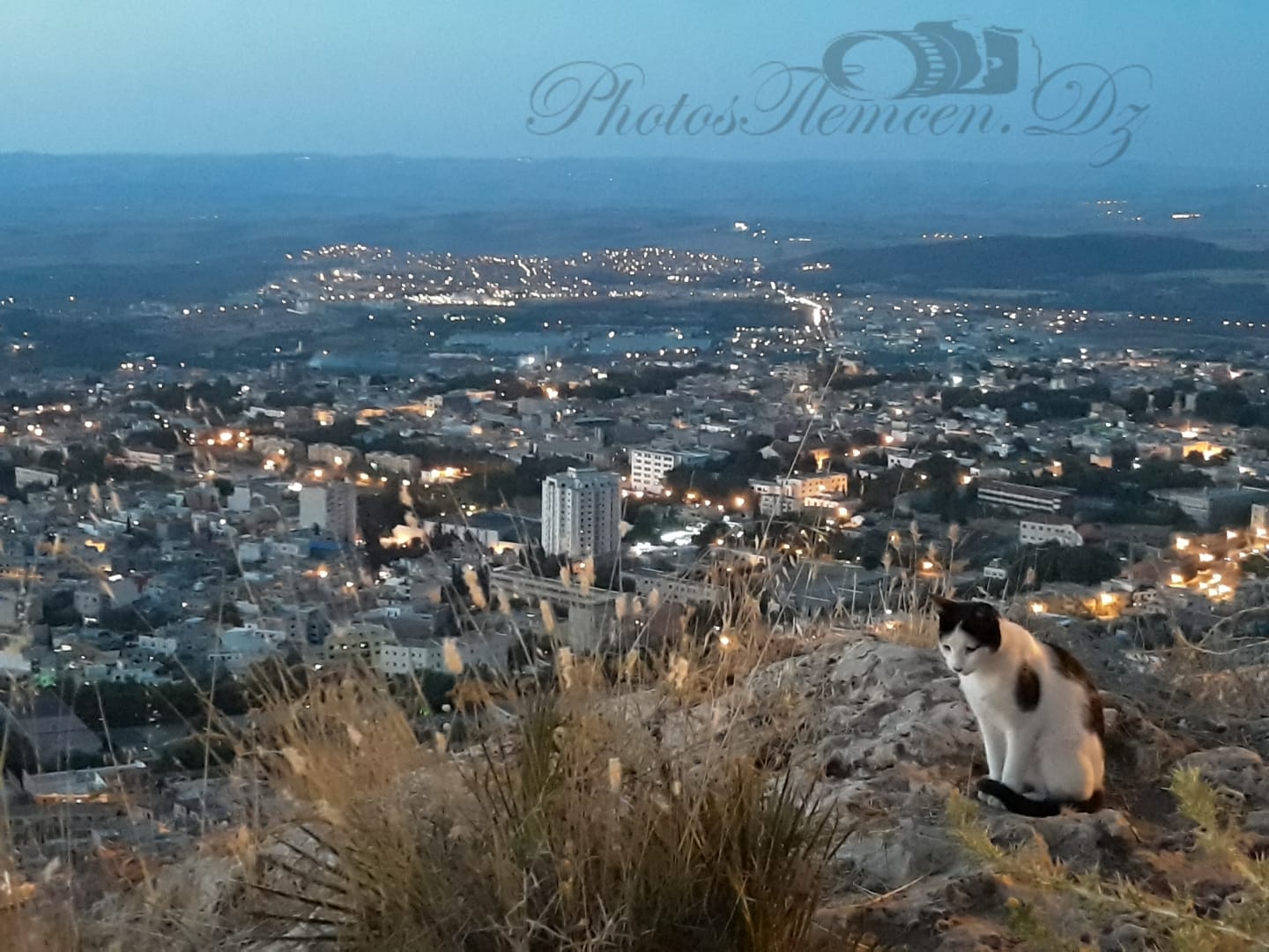 صورة معبرة كثيرا من هضبة لالة ستي