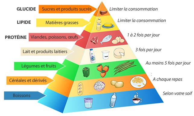 pyramide alimentaire