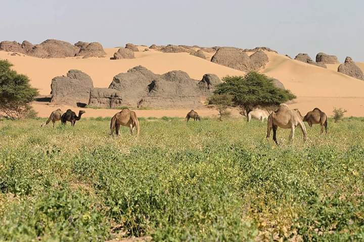 الجزائر جنة فوق الأرض
